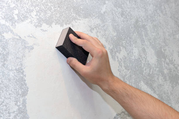 Environmental Consulting for Mold Prevention in Taunton, MA