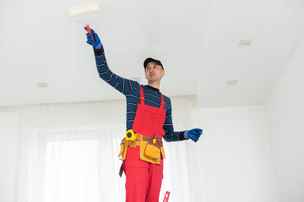 Trusted Taunton, MA Mold Removal Experts